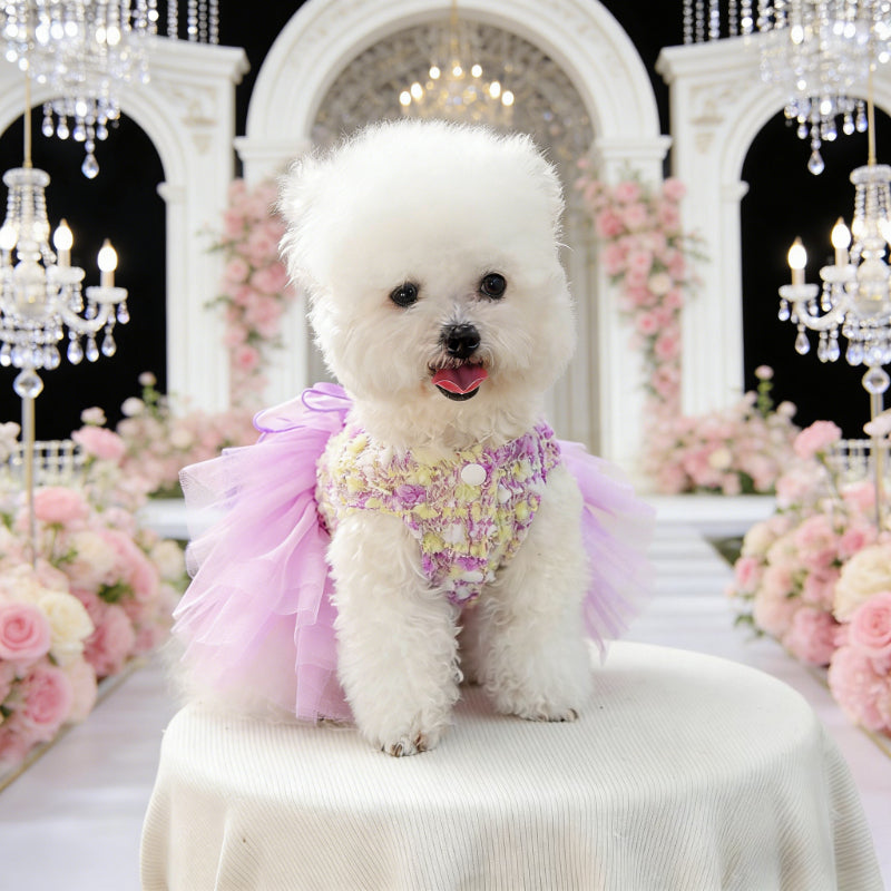 dog crochet dress Dog Summer Dress Crochet Tutorial