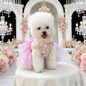 White dog in a decorative outfit sitting on a chair with floral and chandelier background