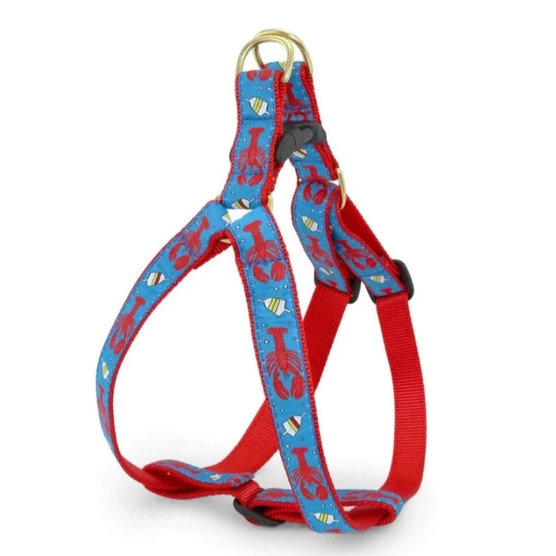 Up Country Lobster and Buoy Dog Harness & Leash Matching Set