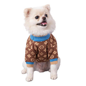 Chihuahua wearing designer-inspired dog sweater