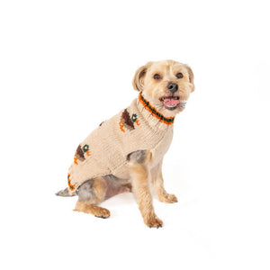 A small tan dog wearing a beige knit sweater with orange and brown decorative details, photographed against a solid white background.