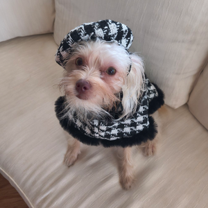 A customer's maltese wearing Tres Chic Black and White Cloak and Hat