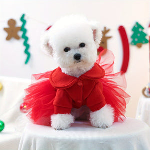 Small white dog in a red tutu Christma dress with a festive background