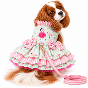 A Cavalier King Charles Spaniel wearing a pink flamingo-print pet dress with ruffled layers and matching pink striped bow details, posed on a white background with a matching leash.