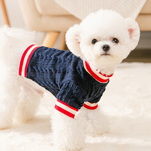 Small white dog wearing a navt blue nautical sweater with red stripes.