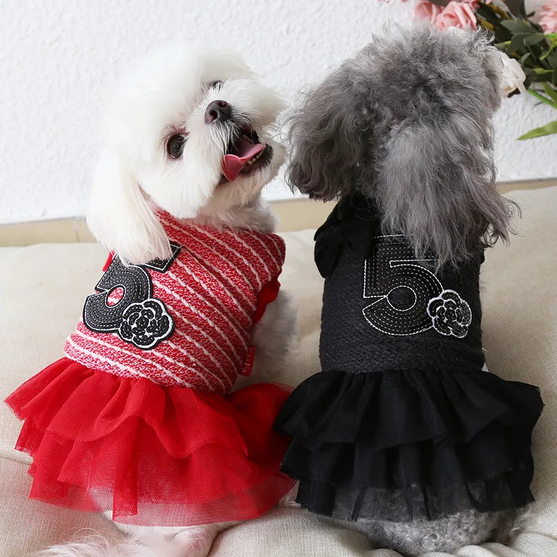 Dog dresses with number 5 design on mannequins against a white background