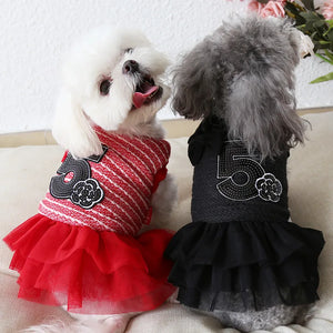 Two small dogs wearing red and black dresses with floral designs on a light-colored couch.