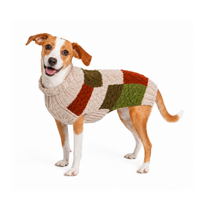 Beagle wearing a colorful checkered sweater on a white background