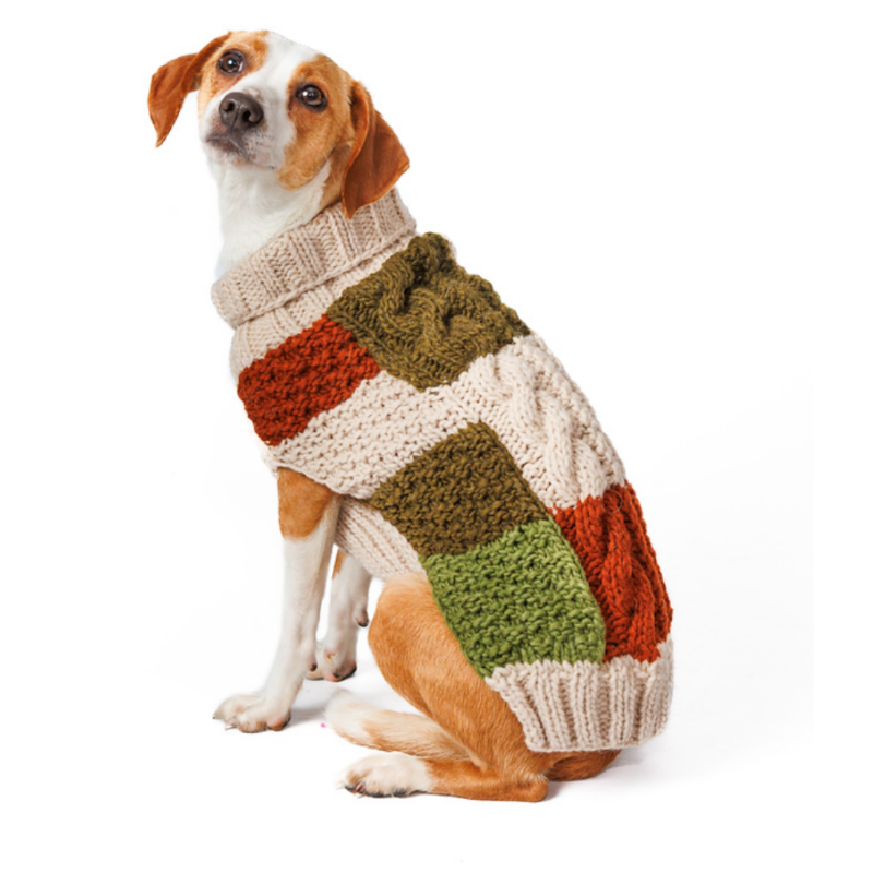Beagle wearing a colorful knitted sweater on a white background