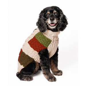 Black and tan Cocker Spaniel wearing a chunky knit sweater with a patchwork design in cream, rust red, olive green, and brown, photographed against a solid white background.