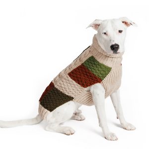 Dog wearing a patchwork sweater on a white background