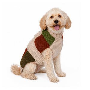 A small cream-colored Poodle wearing a chunky knit sweater with a patchwork design of beige, olive green, and rust brown, photographed against a solid white background.