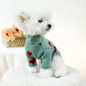 Bichon in Pea Green Valentine Heart Ribbed Dog Shirt