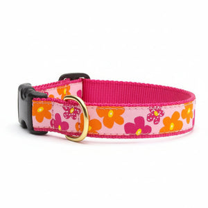 Pink dog collar with floral pattern on a white background