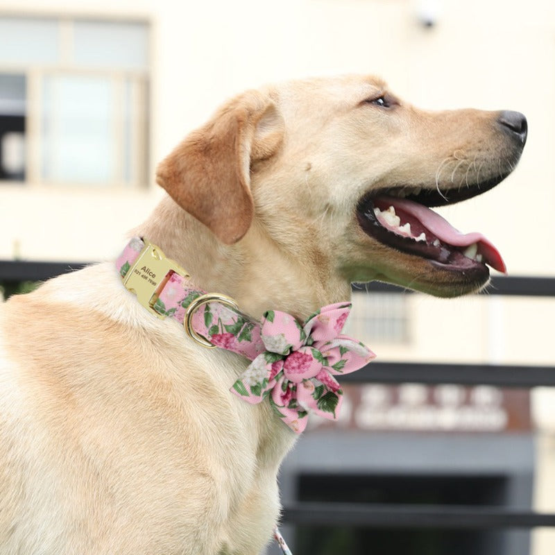 Custom Name Luxury Durable Small Medium Dog Collar And Leash Set