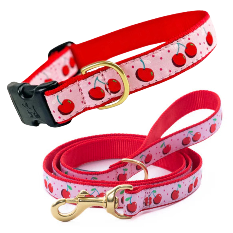 Dog collar and leash set with cherry pattern on a white background