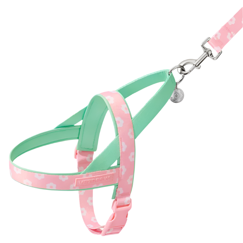 Pink Daisy Floral Dog Harness & Leash Set