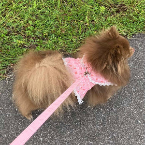 Pomeranian wearing pink floral harness set