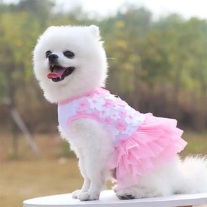 Pomeranian wearing Pink Floral Lace Chiffon Dog Tutu Dress