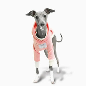 Pink Italian Greyhound/Whippet Sweatshirt