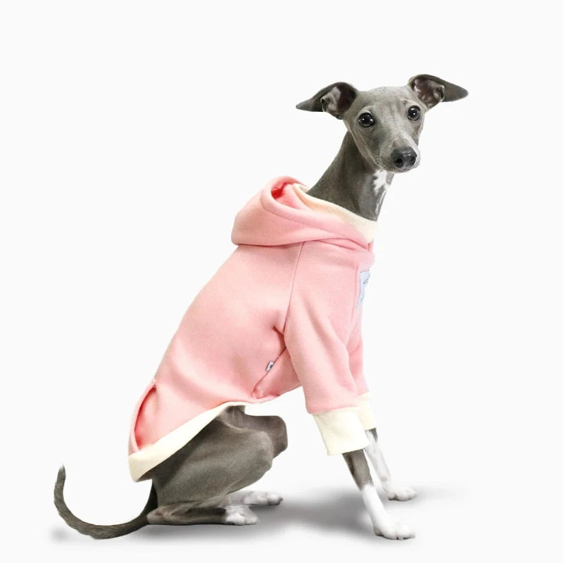 Pink Italian Greyhound/Whippet Sweatshirt