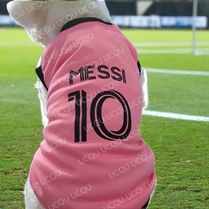 Dog wearing a pink jersey with 'Messi 10' printed on it, standing indoors.