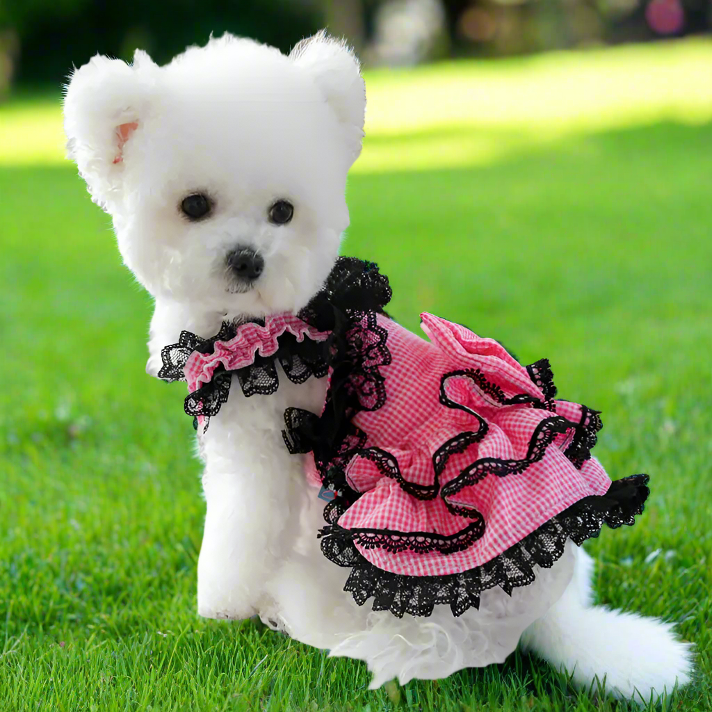 Pink Plaid Dog Party Dress with Black Lace 