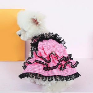 Bichion Frise wearing Pink Plaid Dog Party Dress with Black Lace