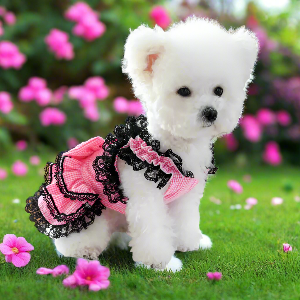 Pink Plaid Dog Party Dress with Black Lace | Poshdoglife.com