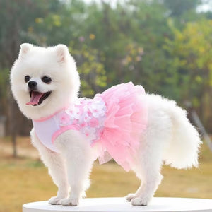 Pomeranian wearing pink floral lace chiffon dog tutu dress.