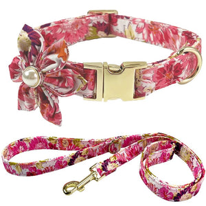 Floral dog collar and leash set with gold hardware on a white background