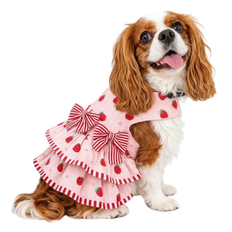 Pink dog dress with strawberry pattern and large bows on a mannequin against a white background
