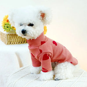 Bichon in Pink Valentine Heart Ribbed Shirt