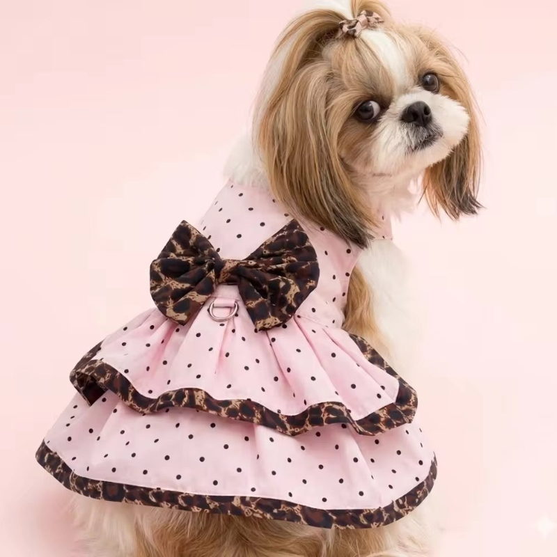 Small dog wearing a pink polka dot dress with a brown bow on a white background