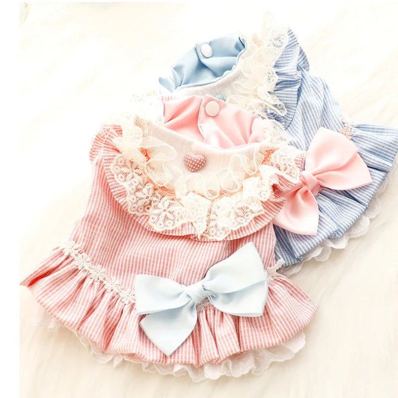 Blue Pinstripe Dog Dress