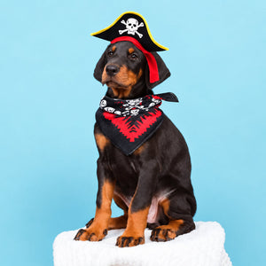 A black and tan puppy wearing a pirate costume with a black tricorn hat, skull-and-crossbones bandana, and red accents, sitting on a white cushion against a light blue background. The Atuban logo is visible in the top-left corner.