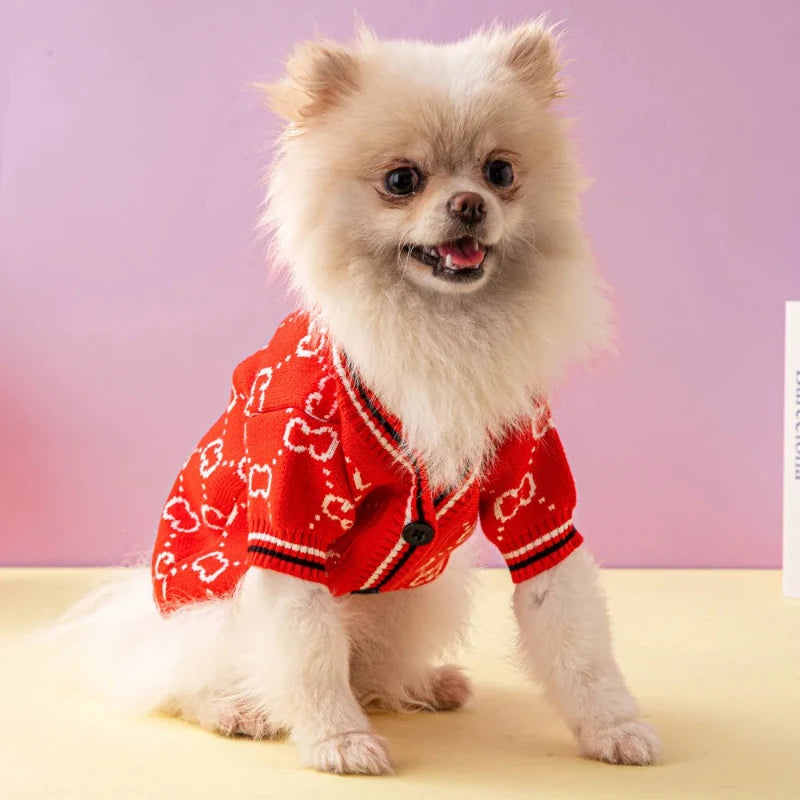 Luxury Red Webbing Logo Dog Sweater inspired by Gucci