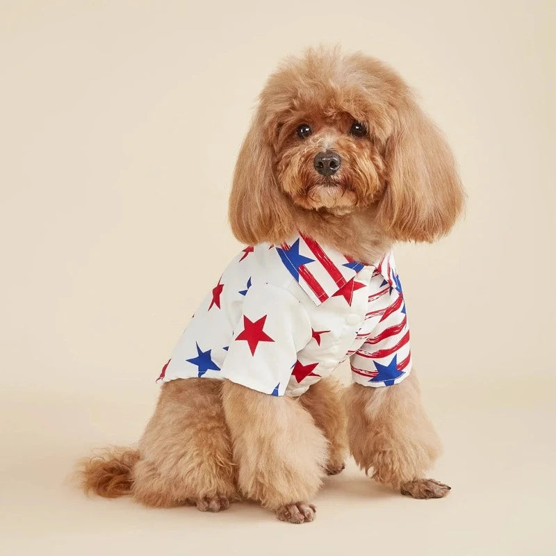 Poodle wearing American Flag & Stars Dog Shirt