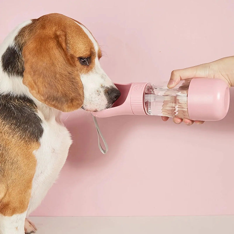 Dog drinking from a pink pet water bottle held by a person on a pink background