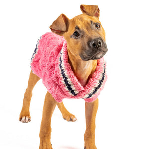 A brown dog wearing a pink fuzzy knit pet sweater with black and white striped trim, standing against a plain white background.