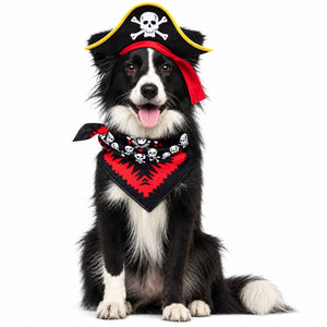 A black and white dog wearing a pirate costume set, including a black pirate hat with yellow trim, a red bandana, and a black bandana with red and white skull-and-crossbones print, on a white background.