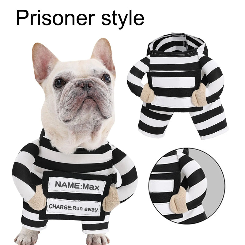 Dog wearing funny black and white striped prisoner Halloween costume with stuffed arms and personalized name and charge ID panels
