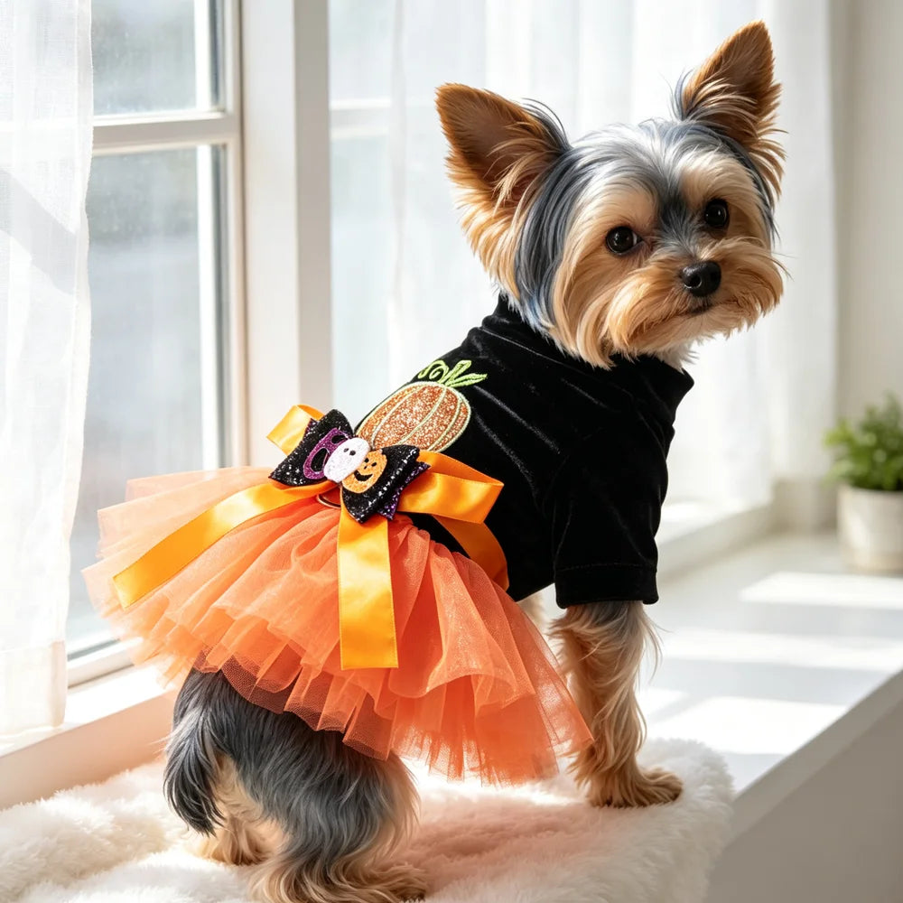 Pumpkin Boo Halloween Tutu Dog Dress