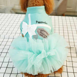 Dog wearing a turquoise dress with a white bow on a checkered background