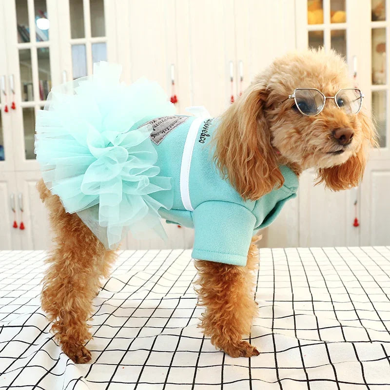 Teal dog dress with white bow and tag on a white background
