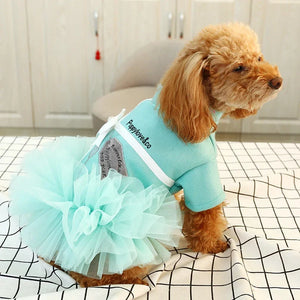 Goldendoodle wearing a light blue outfit with a fluffy skirt on a checkered floor.