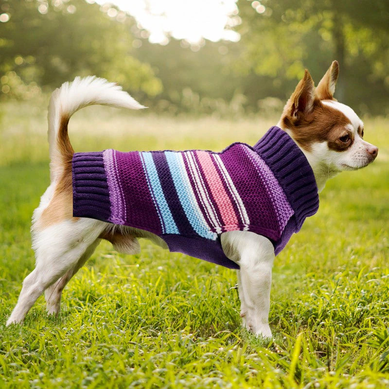 This Purple Stripe Dog Sweater will keep your fur baby cozy  and warm.
