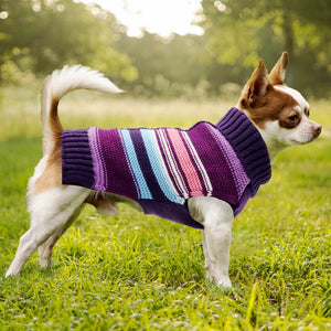 . This stylish sweater comes in XS-2XL for small dogs like this Chichuahua to medium-sized dogs.
