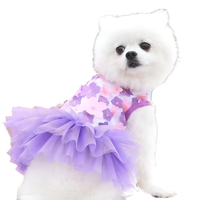 Pomeranian wearing purple floral lace chiffon dog tutu dress.