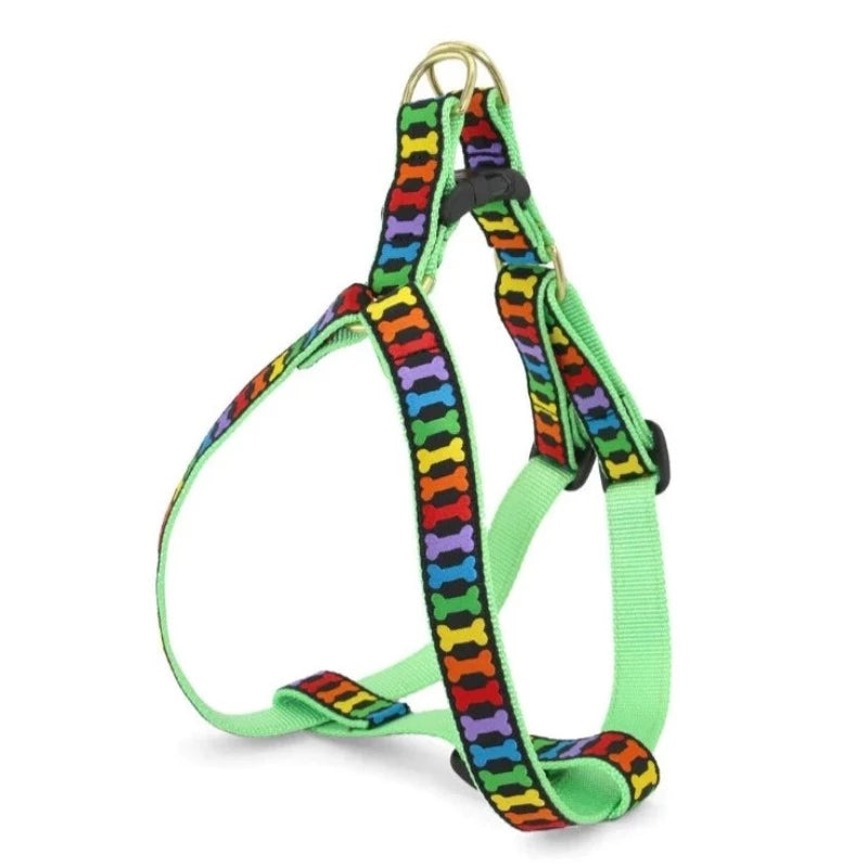 Up Country Rainbones Dog Harness & Leash Matching Set